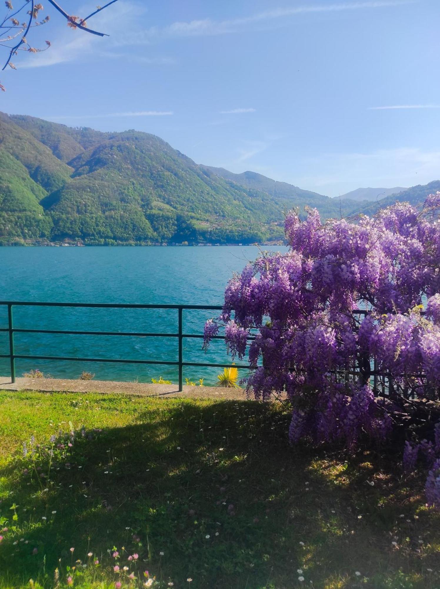 Lfsuite Luganolake Terrazza Spiaggia Privata Parking Wi-Fi Netflix Porlezza Eksteriør billede